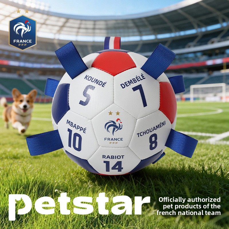 France Team Soccer Field Shape - Table Tennis France recensione e prezzo