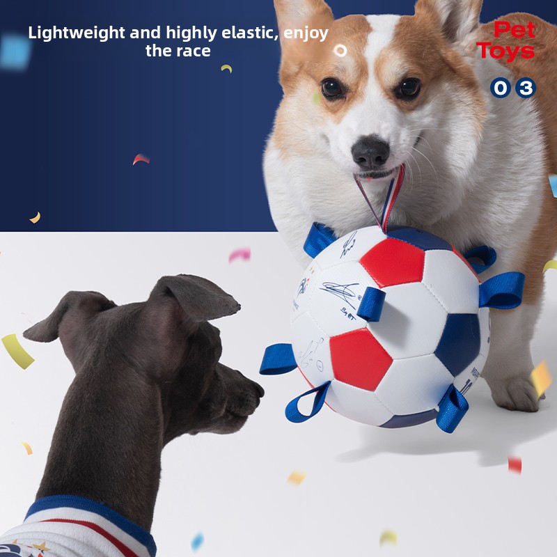 France Team Soccer Field Shape - Table Tennis France recensione e prezzo
