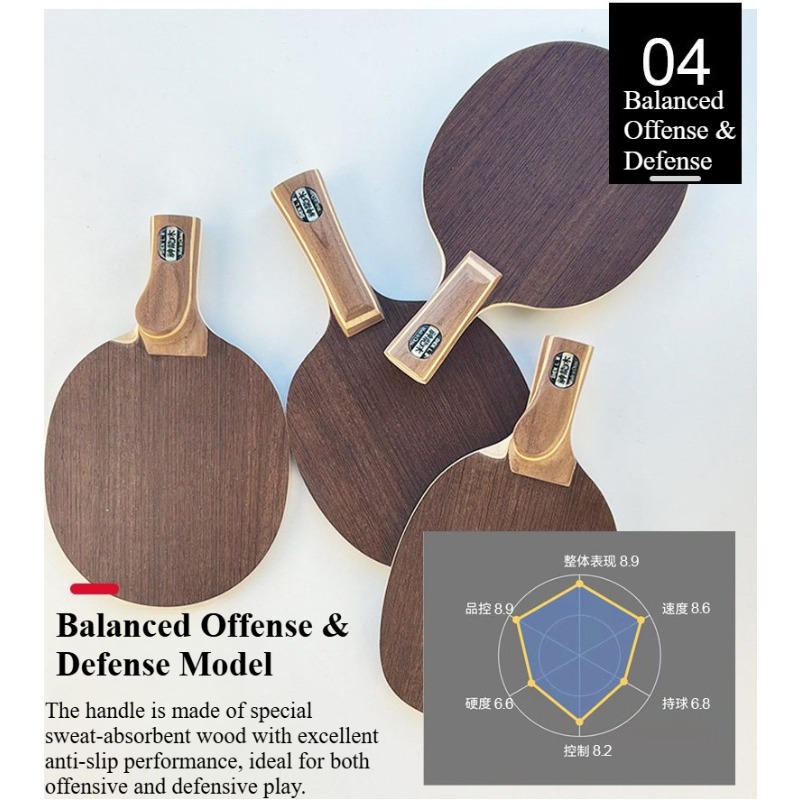 Chinese/Japanese Penhold Table - Table Tennis In Chinese recensione e prezzo