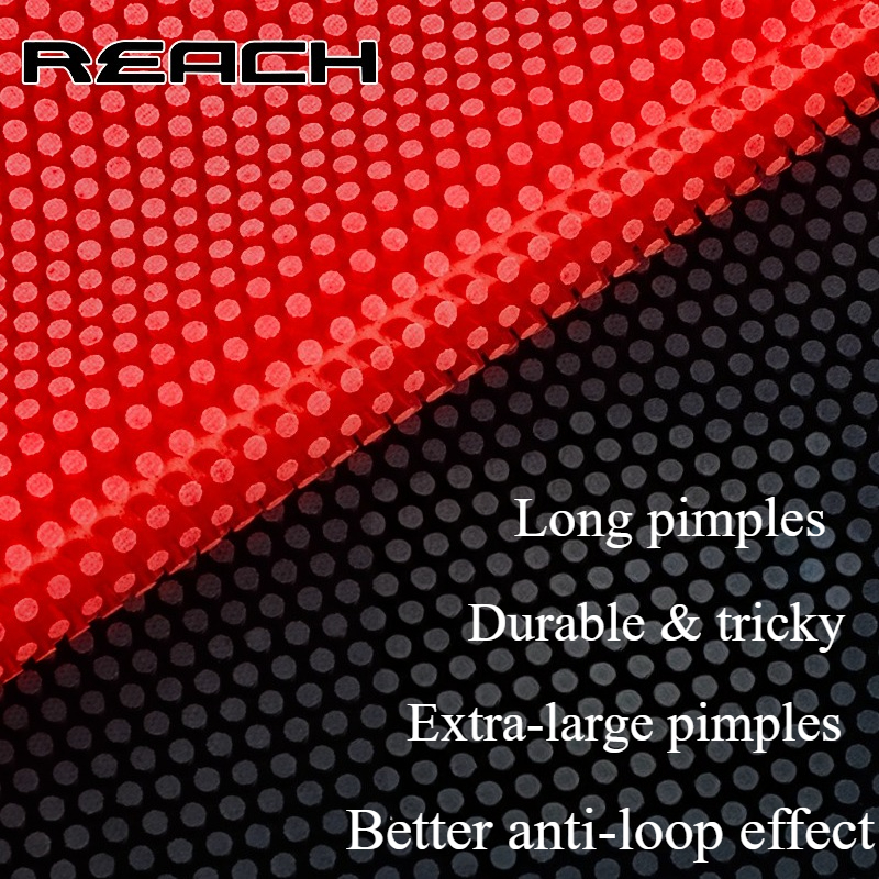 Reach C-8 C-801 Table-tennis R - Table Tennis Rubber recensione e prezzo