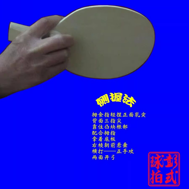 Chinese/Japanese Style Table T - Table Tennis In Chinese recensione e prezzo