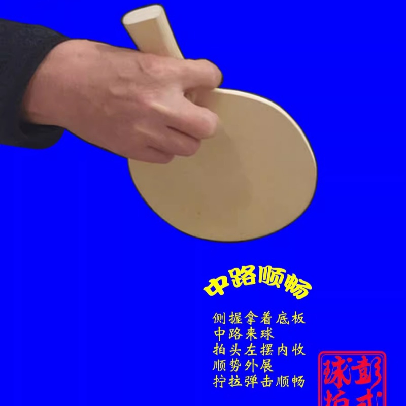 Chinese/Japanese Style Table T - Table Tennis In Chinese recensione e prezzo