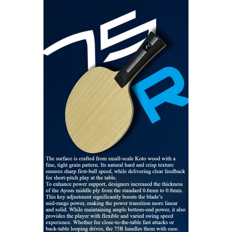 SANWEI 75R 5+2 Outer H-GLC Tab - Table Tennis Blades recensione e prezzo