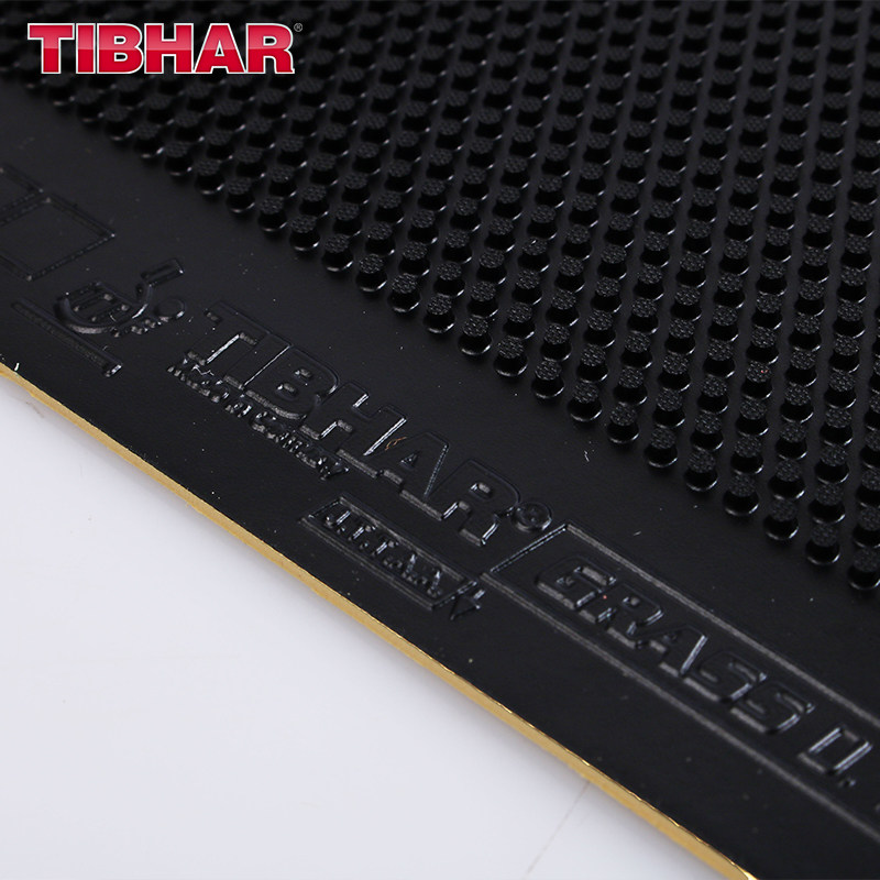 TIBHAR GRASS D.TECS Table Tenn - Table Tennis Rubber recensione e prezzo